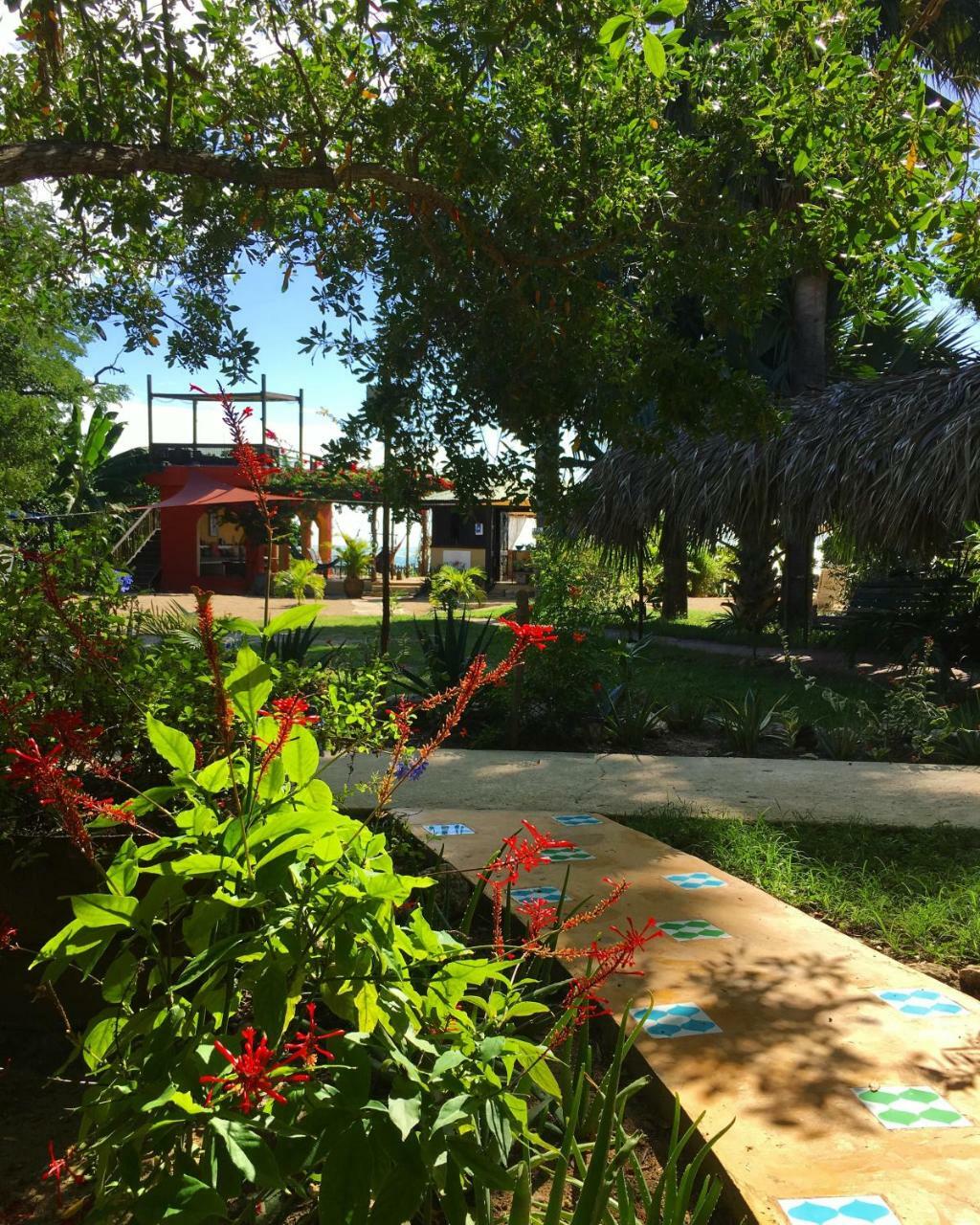 Katamah Beachfront Guesthouse Treasure Beach Bagian luar foto