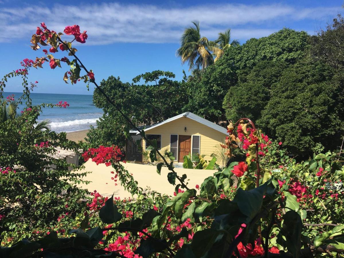 Katamah Beachfront Guesthouse Treasure Beach Bagian luar foto